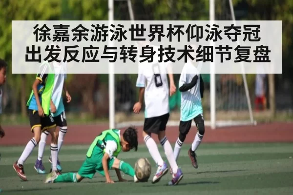 徐嘉余游泳世界杯仰泳夺冠 出发反应与转身技术细节复盘